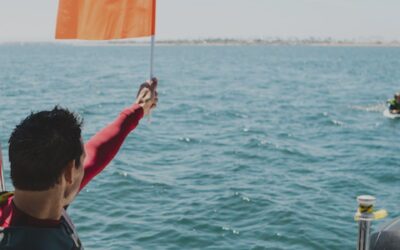 Essential Safety Tips for New Boat Owners